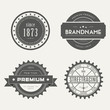 © Elegant Solution - Retro Vintage Insignias or Logotypes set. Vector design elements