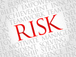 © dizain - Risk word cloud, business concept