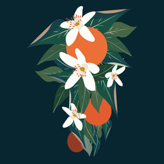 Orange Tree Flower Background