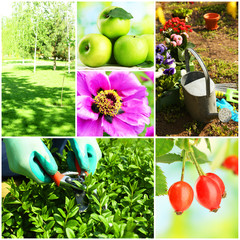 Wall Mural - Gardening collage