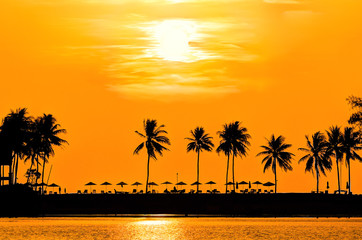 Palm trees in orange glow sunset