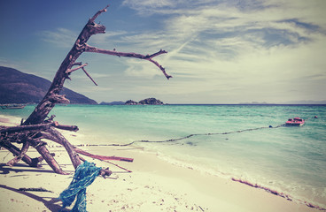 Obraz na płótnie plaża wyspa egzotyczny natura woda