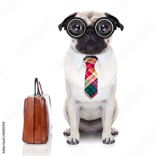 einzelne bedruckte Lamellen - business boss dog (von Javier brosch)
