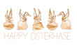 Happy Osterhase - Frohe Ostern