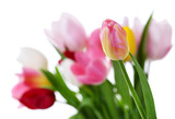 Fototapeta Tulipany - Fresh bouquet with tulips on blurred background