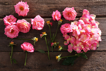 Wall Mural - Beautiful pink roses on wooden table, top view