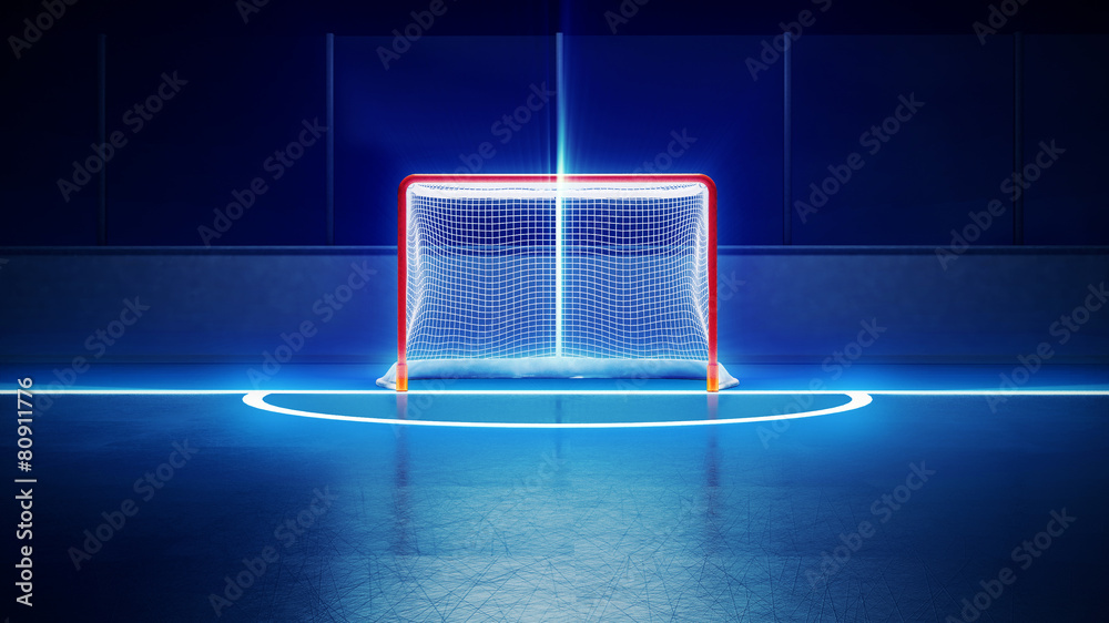 hockey ice rink and goal - obrazy, fototapety, plakaty 