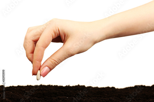 Fotografía Female hand planting white bean seed in soil isolated on white