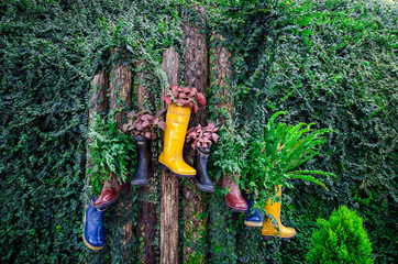 Colourful boots with plants