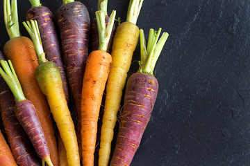 Fresh organic rainbow carrots