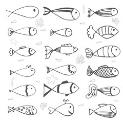 Wall Mural - Fish collection on white background. Hand drawn style