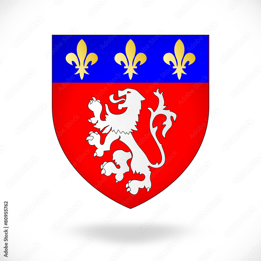 Insigne / Badge Ancien - Blason Ville De Lyon - Décoration Vintage France
