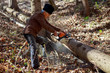 © czamfir - Old man cutting trees using a chainsaw in the forest