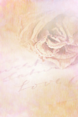 Close up of dry rose and Love word written on card. Paper textur