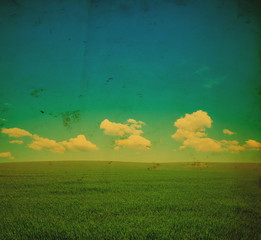 Wall Mural - green field