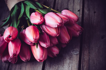 Wall Mural - fresh spring pink tulips