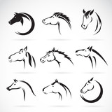 Fototapeta Konie - Vector group of horse head design on white background.