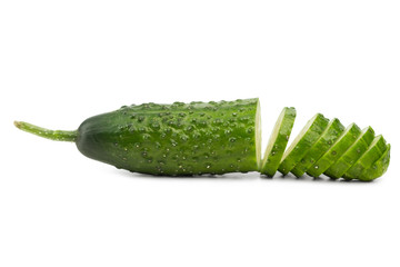 Cucumber