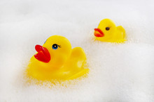 Rubber Ducks In Foam Close-up