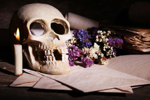 Still Life With Human Skull And Retro Book