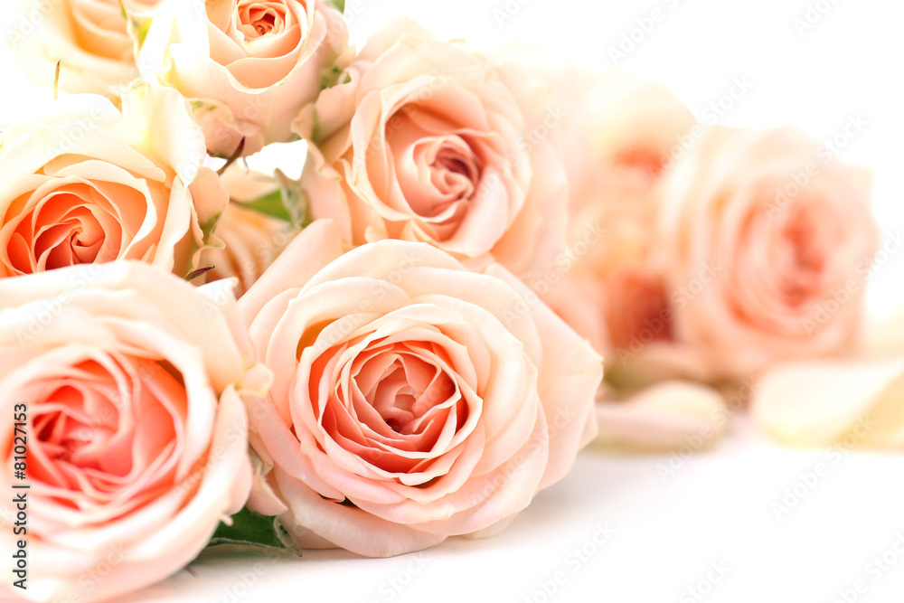 Bouquet of beautiful fresh roses, closeup