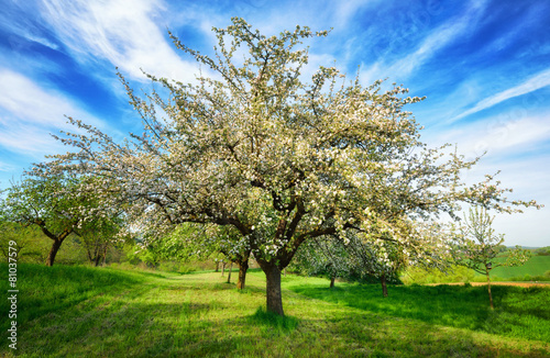 Idyllische Frühlingslandschaft