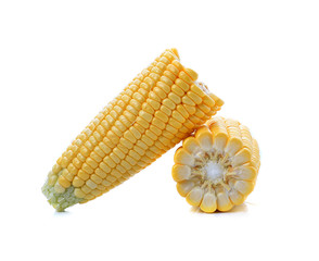 Corn isolated on a white background