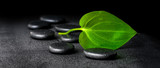 Fototapeta Desenie - spa concept of zen stones and green leaf on black background wit