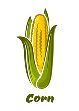 Cartoon Yellow Corn Vegetable On The Cob