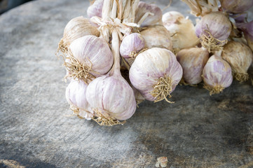 Close up of purple garlic.