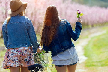 Wall Mural - Two beautiful young women with a vintage bike in the field.