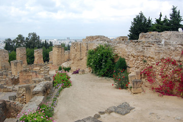 Carthage ruins