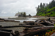 Ruby Beach in the Olympic National Park in Washington state.