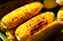 Grilled Sweet Corn On Street Market