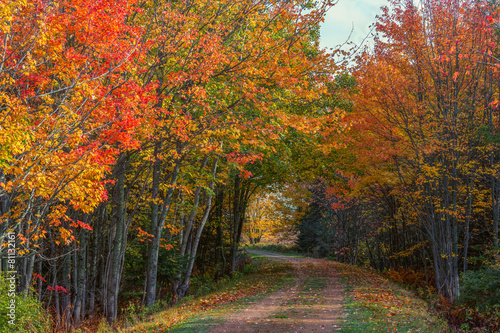 Naklejka dekoracyjna Fall Trail on Prince Edward Island