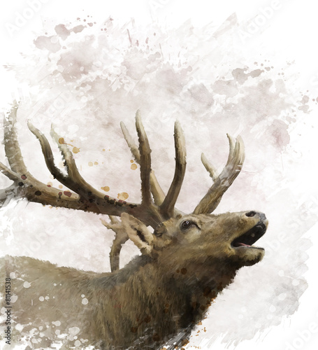 Obraz w ramie Bull Elk Watercolor