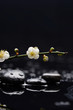 © Mee Ting - Set of cherry blossom with white candle on black stones