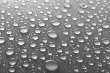 Poster - Water drops on glass on light background