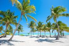 Idyllic Tropical Beach With Palm Trees