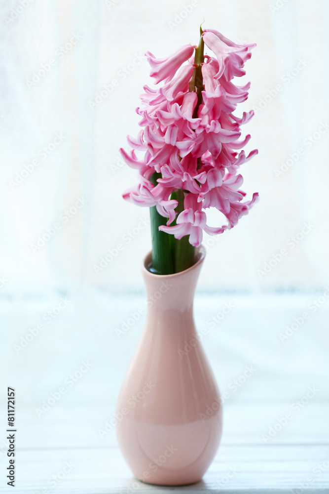 Beautiful hyacinth flowers on windowsill background