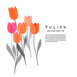 Tulips Vector Illustration