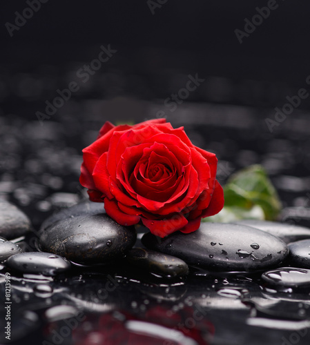 Fototapeta do kuchni red rose and therapy stones