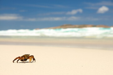 Sticker - Esperance Beaches, Australia