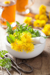 Poster - coltsfoot flowers spring herbs in mortar and herbal tea