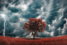 Stormy Tree Landscape