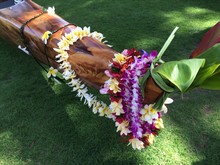 Outrigger Canoe Draped In Flower Lei, Oahu, Hawaii