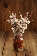 Bouquet Of Pussy Willow Twigs In Glass Jar On Wooden Background