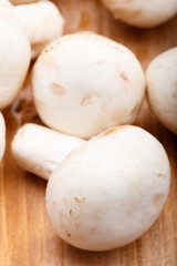 champignons closeup on wooden background