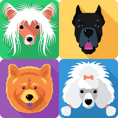 Wall Mural - Set dog head icon flat design