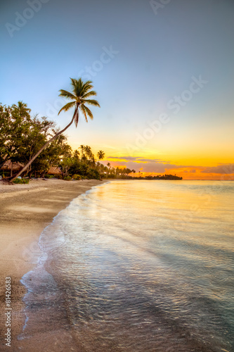 Fototapeta na wymiar isole caraibiche di polinesia con palme e tramonto